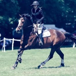 Meet your Posher, Ambar